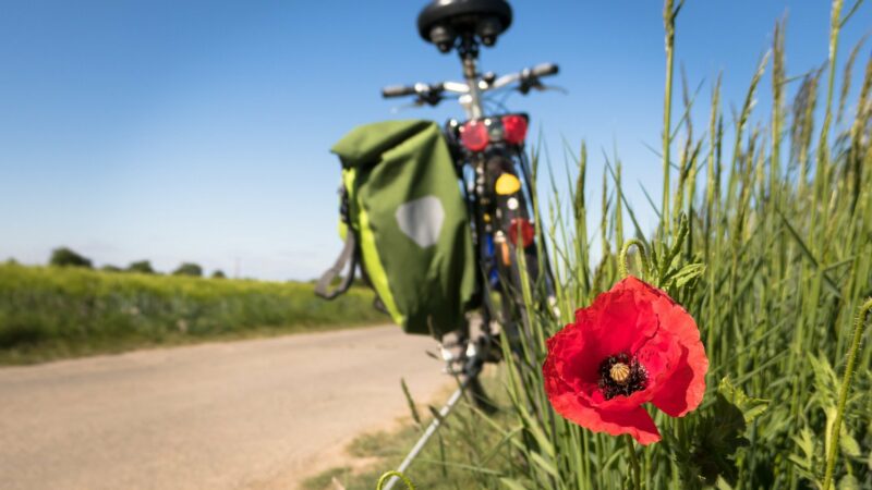Budują drugi most na ciągu rowerowo-pieszym z Gostynia do Kunowa