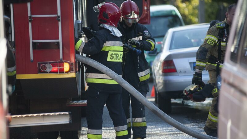 Dzień Otwarty Strażnic – mieszkańcy Gostynia mogli zobaczyć sprzęt i pracę strażaków na co dzień