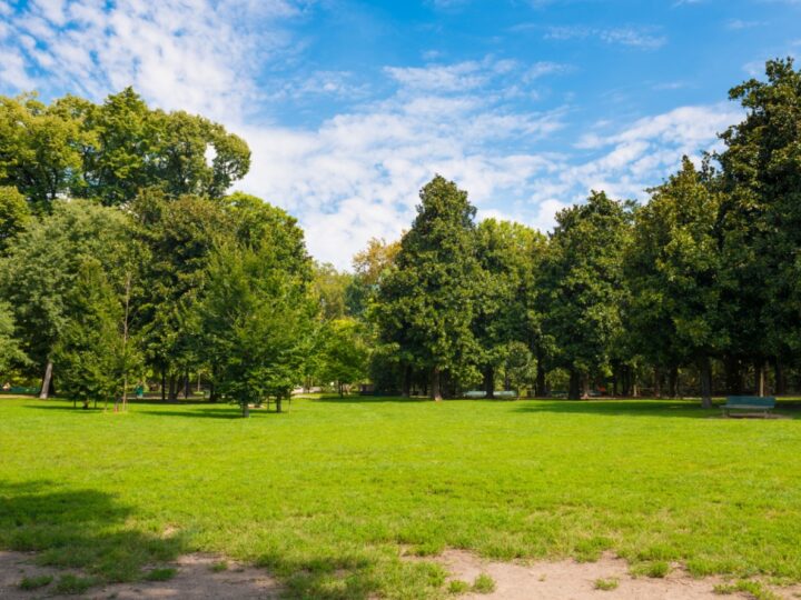 Nadchodzi zielona metamorfoza: Gostyń inwestuje 15 milionów w miejskie skwery i parki