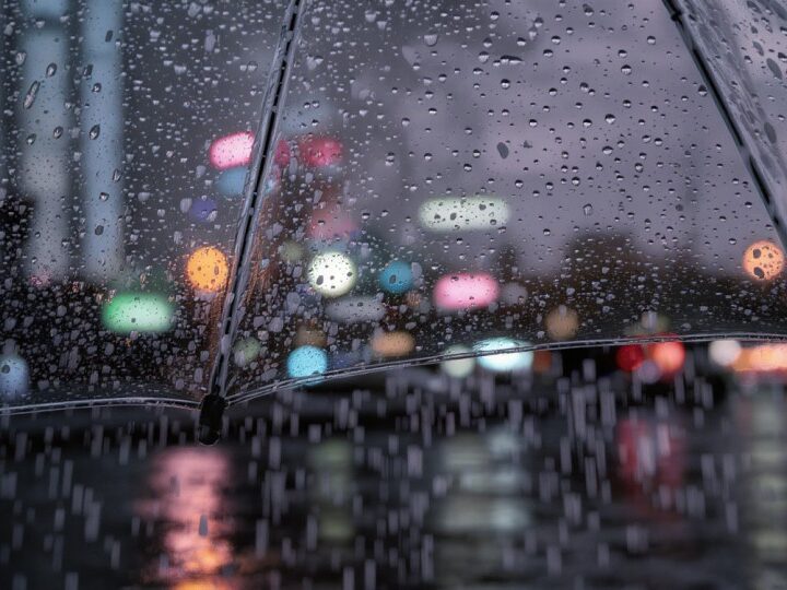 Gęsta mgła nad Wielkopolską!