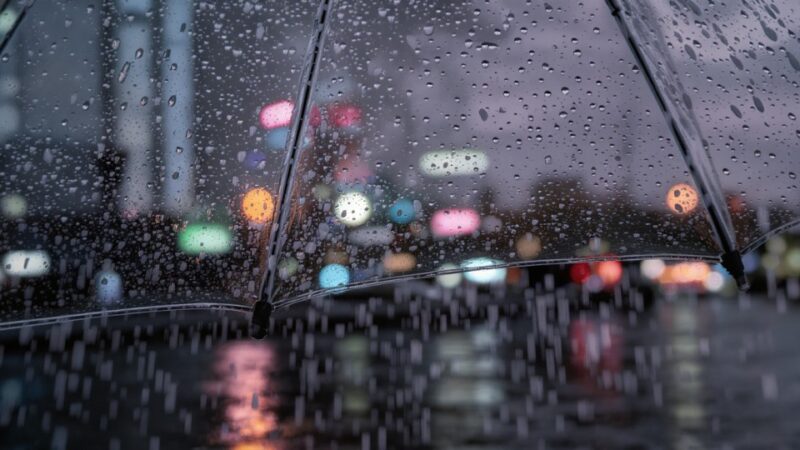 Gęsta mgła nad Wielkopolską!