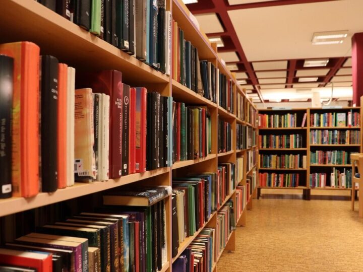 Synowie Bartosza: Nowa powieść historyczna z Gostynia