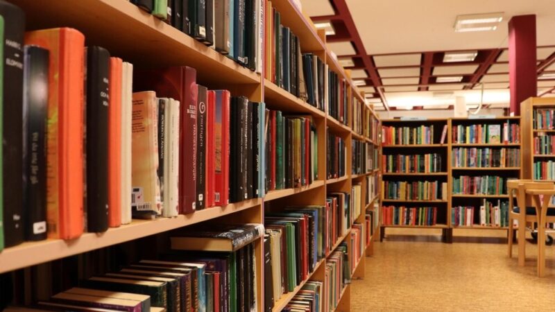 Synowie Bartosza: Nowa powieść historyczna z Gostynia