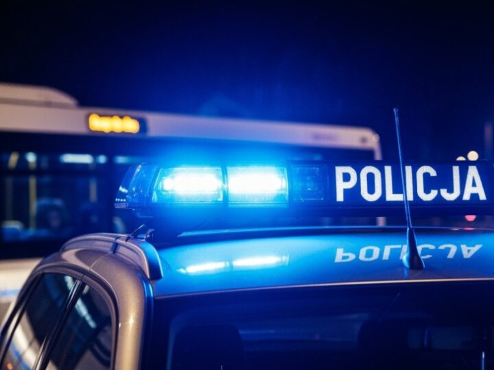 25-latka aresztowana za kradzież kół z piwnicy