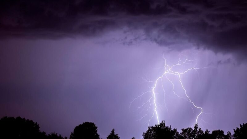 Przymrozki nadchodzą – bądź przygotowany!