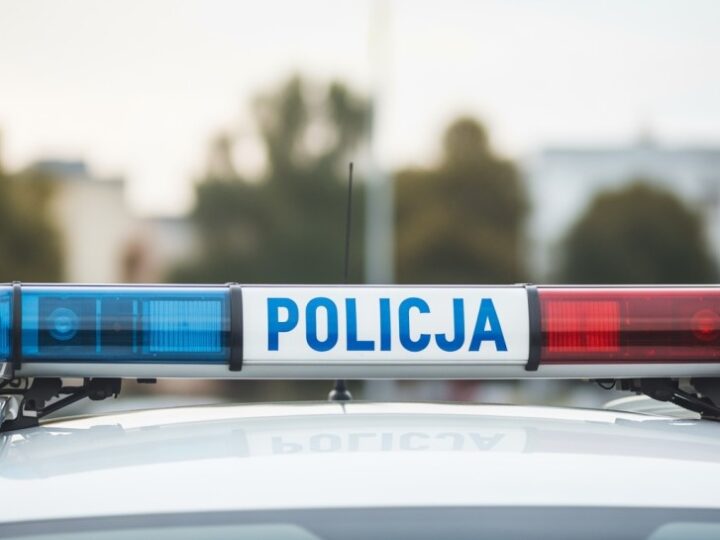 Sprawca zniszczenia plakatu ukarany mandatem