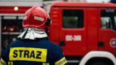 Jak działać bez prądu? Bezpłatne warsztaty dla firm